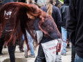 live 20160515 rhf15 impressionen live 20160515 rhf15 impressionen