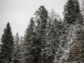 live 20170107 0022 impressionen