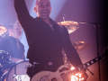  live 20170415 0213 broilers