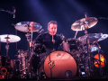  live 20170415 0217 broilers