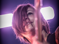  live 20170415 0219 broilers