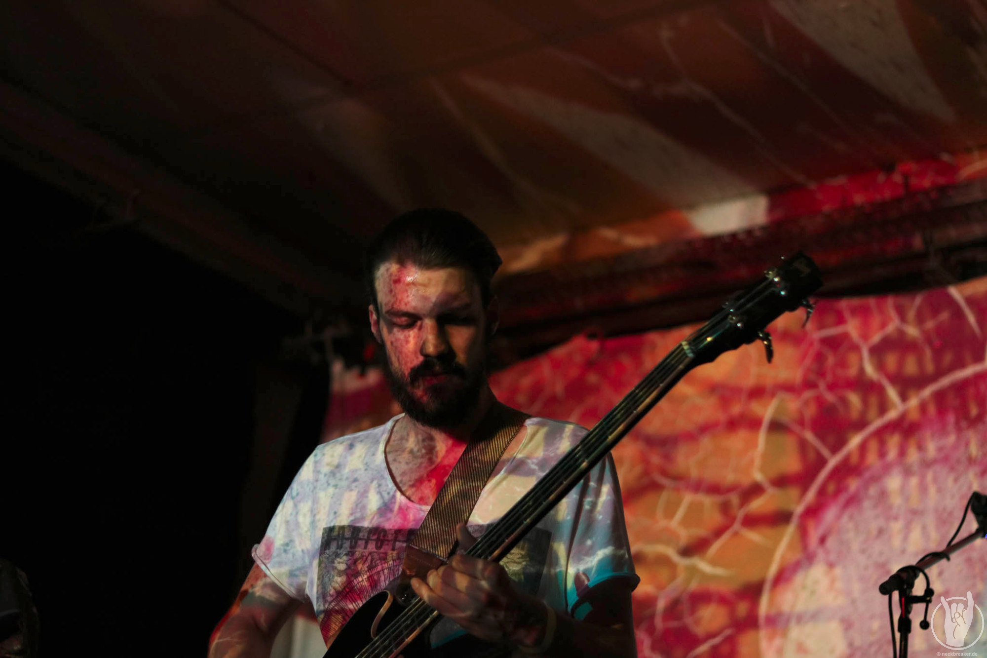 live 20170525 0101 BeesMadeHoneyInTheVeinTree live 20170525 0101 BeesMadeHoneyInTheVeinTree