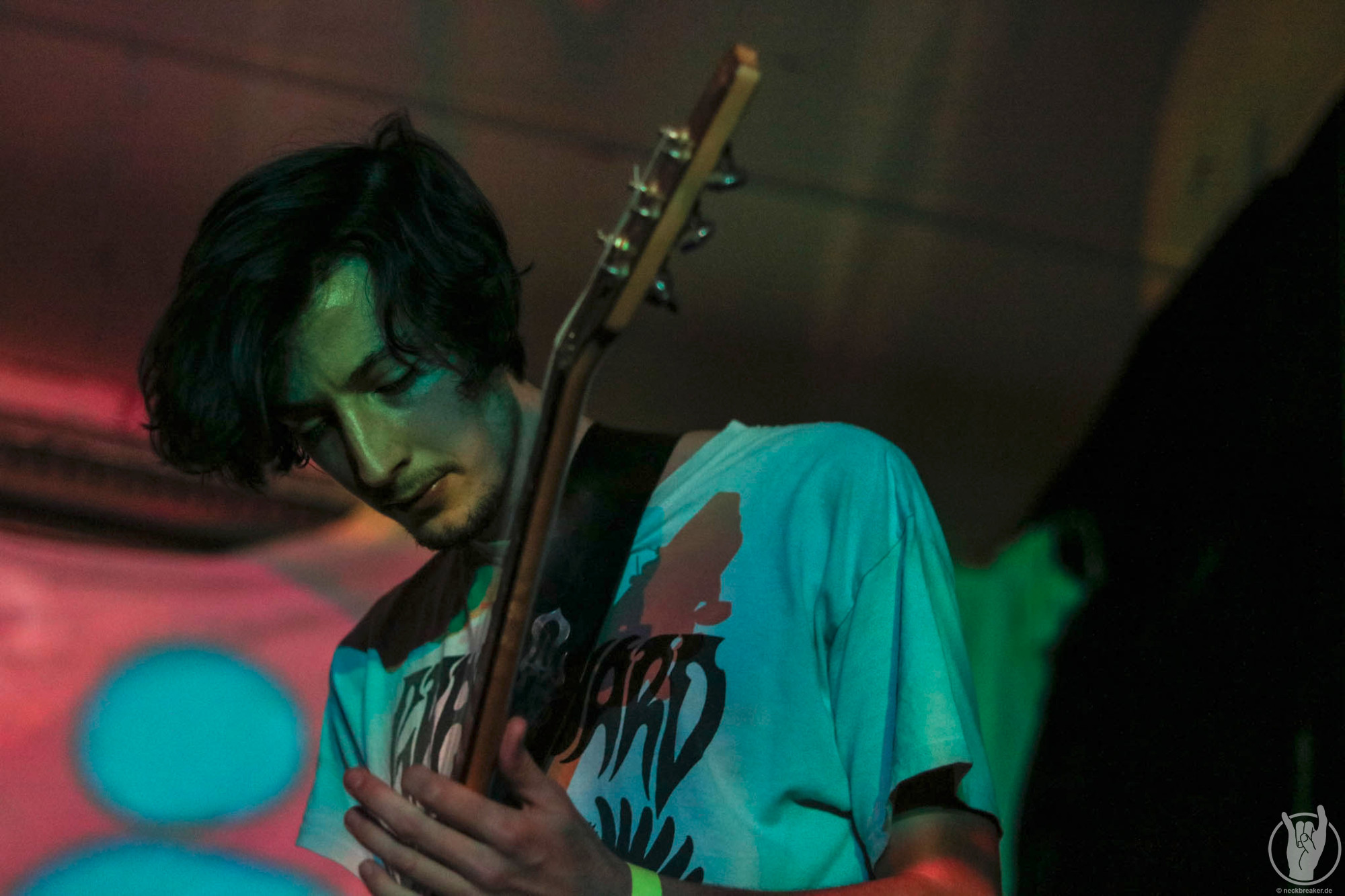 live 20170525 0102 BeesMadeHoneyInTheVeinTree live 20170525 0102 BeesMadeHoneyInTheVeinTree