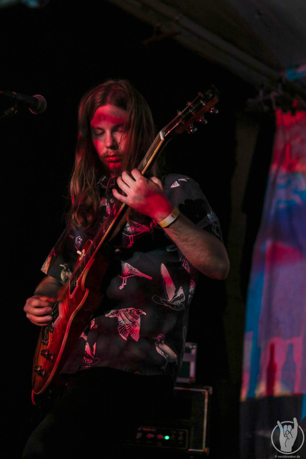 live 20170525 0103 BeesMadeHoneyInTheVeinTree live 20170525 0103 BeesMadeHoneyInTheVeinTree