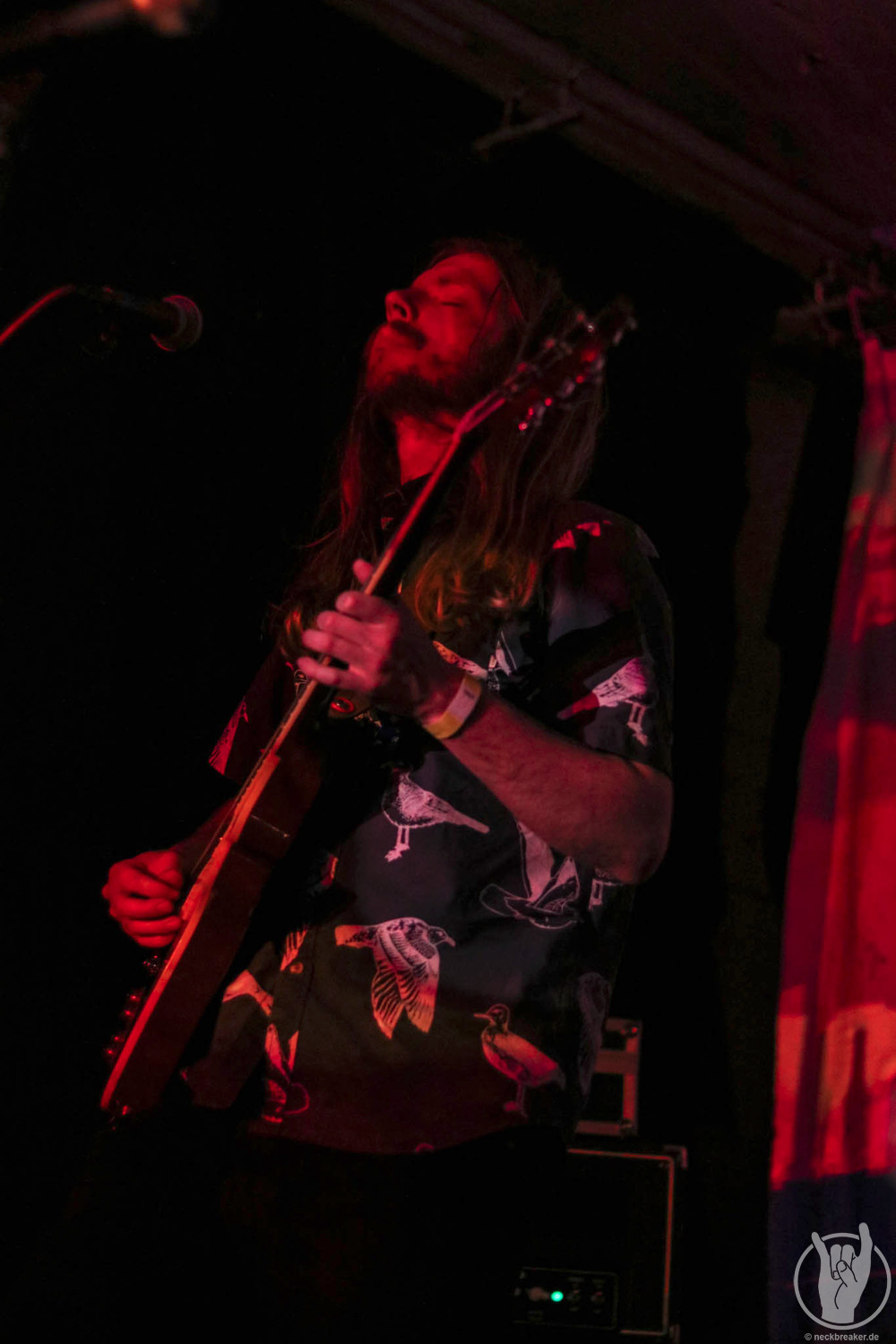 live 20170525 0104 BeesMadeHoneyInTheVeinTree live 20170525 0104 BeesMadeHoneyInTheVeinTree