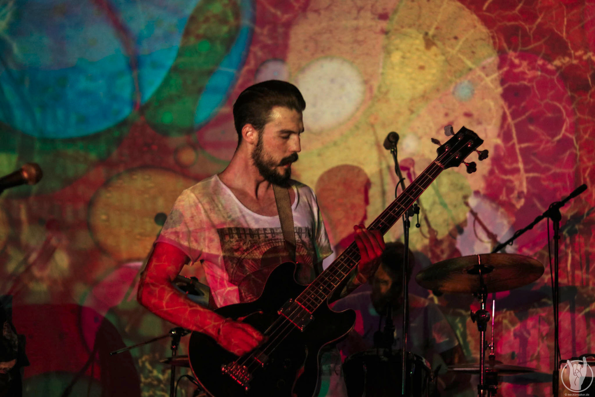 live 20170525 0105 BeesMadeHoneyInTheVeinTree live 20170525 0105 BeesMadeHoneyInTheVeinTree