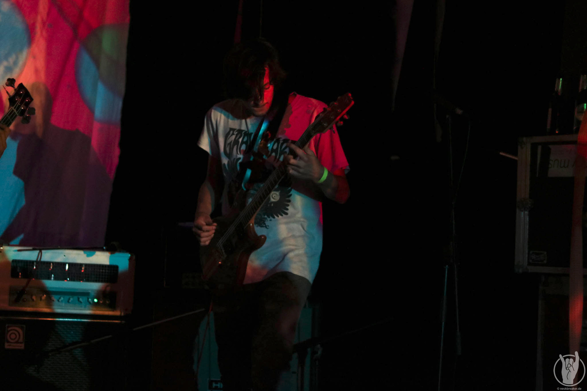 live 20170525 0106 BeesMadeHoneyInTheVeinTree live 20170525 0106 BeesMadeHoneyInTheVeinTree