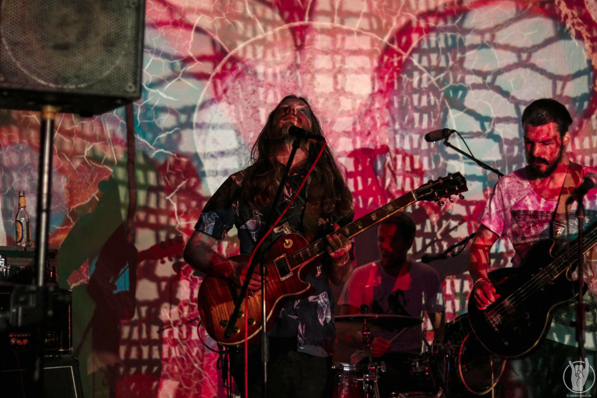 live 20170525 0107 BeesMadeHoneyInTheVeinTree live 20170525 0107 BeesMadeHoneyInTheVeinTree