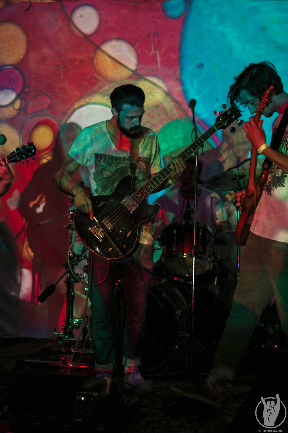 live 20170525 0108 BeesMadeHoneyInTheVeinTree live 20170525 0108 BeesMadeHoneyInTheVeinTree