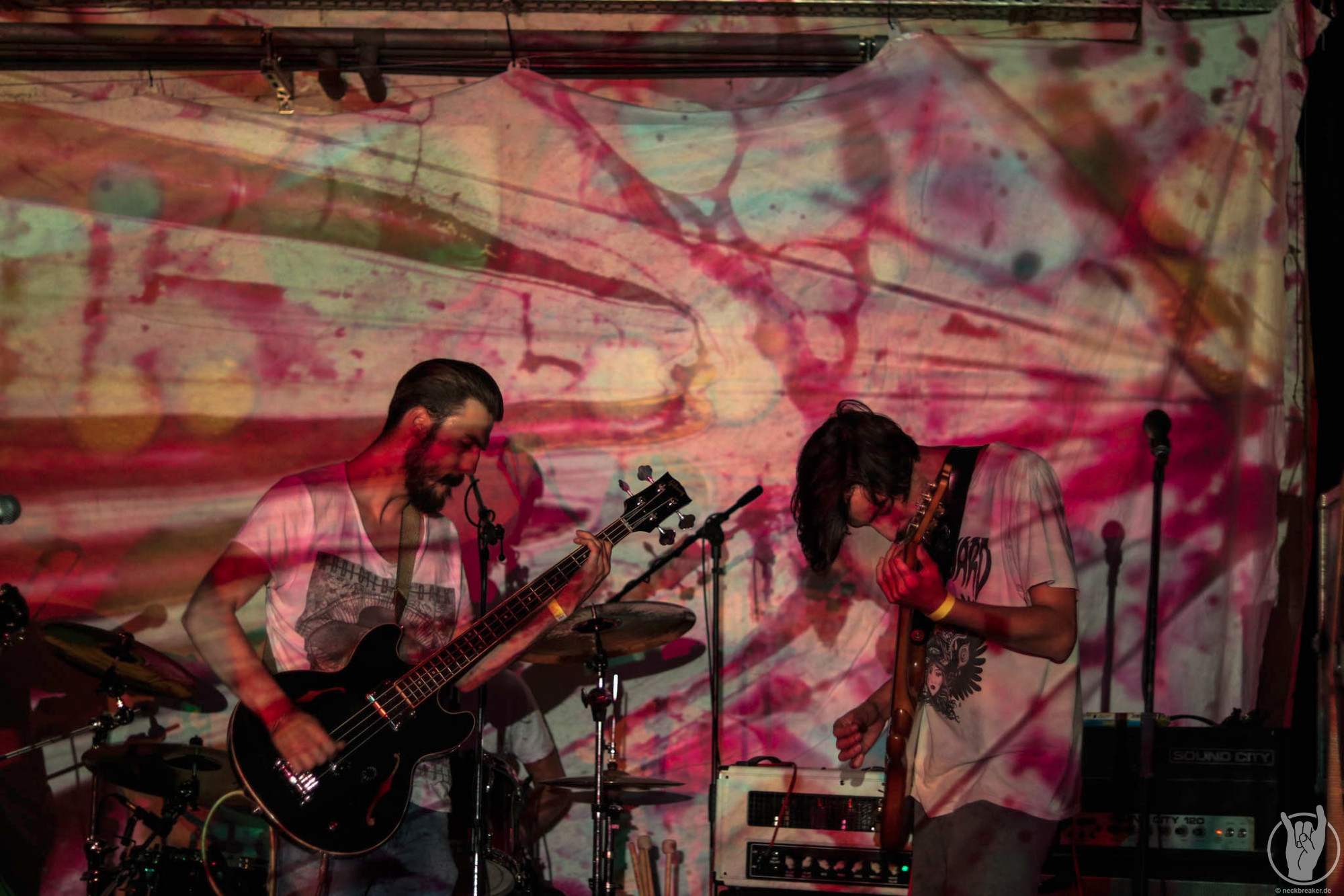 live 20170525 0109 BeesMadeHoneyInTheVeinTree live 20170525 0109 BeesMadeHoneyInTheVeinTree