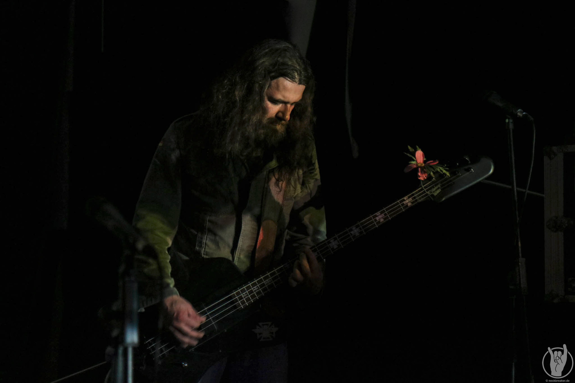 live 20170525 0205 ZenTrip live 20170525 0205 ZenTrip