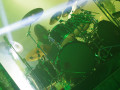 live 20160716 1009 testament live 20160716 1009 testament
