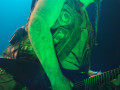 live 20120619 0101