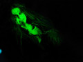 live 20120619 0105