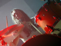 live 20171118 0104 alcest