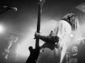 live 20171229 0118 dailythompson