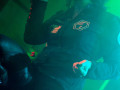 live 20121107 0201
