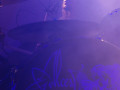 live 20121208 0202
