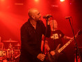 live 20180430 0103 wildejungs