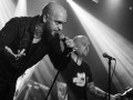 live 20180430 0116 wildejungs