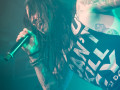hardcoresuperstar galerie ff