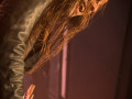 hardcoresuperstar galerie ff