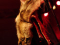 live 20111001 0403
