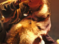 live 20111001 0408