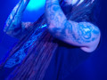 live 20131121 0203 amorphis