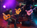 live 20131122 0211 empyrium