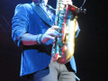 live 20131218 0215 thealanparsonsproject