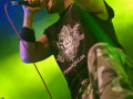 live 20131222 01 09 soundstorm