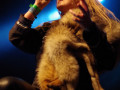 live 20131222 03 09 arkona