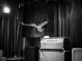 live 20190523 0104 electriccitizen