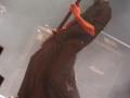 live 20111112 0206