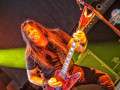 live 20220814 0315 testament live 20220814 0315 testament