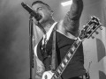 live 20220827 0303 broilers live 20220827 0303 broilers