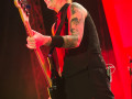 live 20220827 0309 broilers live 20220827 0309 broilers
