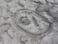 live 20230716 0018 impressionen
