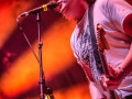 live 20231105 0205 the chats