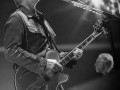 live 20231105 0317 the queens of the stone age live 20231105 0317 the queens of the stone age