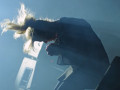 live 20231118 0102 vandermeer