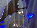 live 20231118 0403 spurv