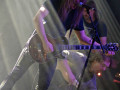 live 20231118 0404 spurv