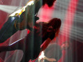 live 20231118 0407 spurv