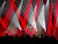 live 20231118 0408 spurv