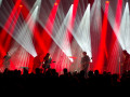 live 20231118 0410 spurv