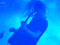 live 20231118 0414 spurv live 20231118 0414 spurv