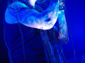 live 20140314 0202 amorphis
