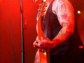 live 20140315 0204 Broilers live 20140315 0204 Broilers